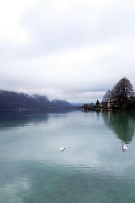 Coconlagon Serenite Au D'annecy