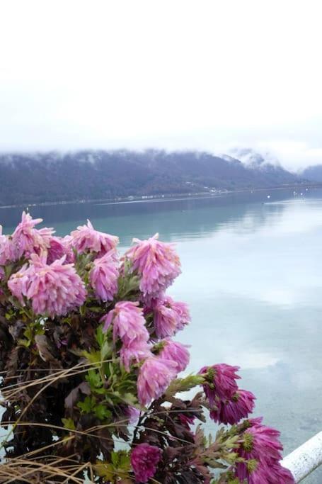 Coconlagon Serenite Au D'annecy *
